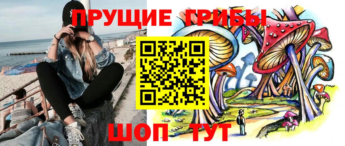 Псилоцибиновые грибы GOLDEN TEACHER  Вход с VPN  Тверь  Галлюциногенные грибы мухоморы 
